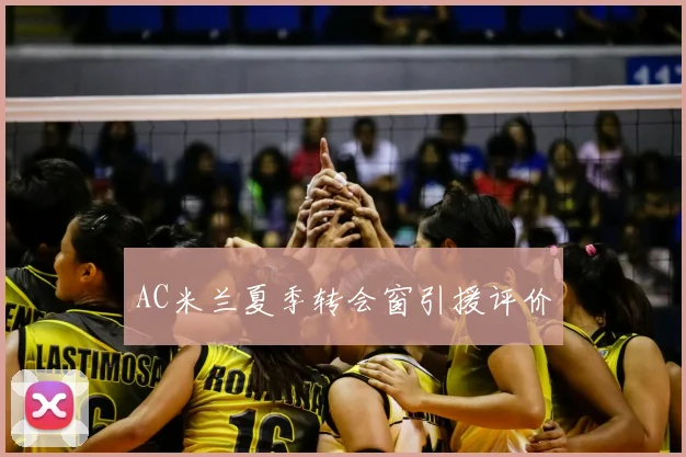 AC米兰夏季转会窗引援评价